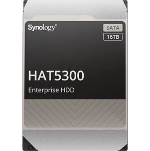 Synology HAT3300-16T